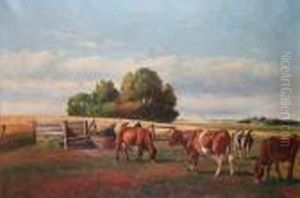 Cattle Grazing By A Corn Field Before Alandscape Cattle Grazing By A Corn Field Before Alandscape
