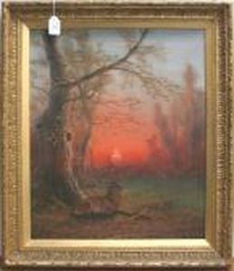 Study Of A Recumbent Stag Beside A Tree