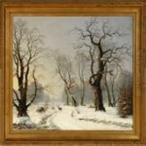 Winter Day In Dyrehavne Park, Denmark - view 1