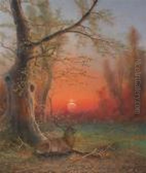 A Stag In A Wood At Sunset - view 1