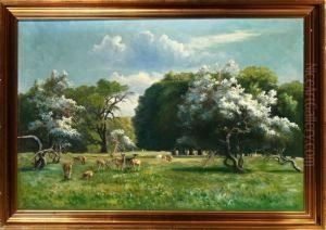 A Danish Summerlandscape From Dyrehaven Park