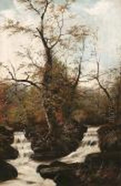 A Woodland Stream - view 1