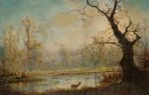 Woodland Lake Scene, With A Stag In The Foreground