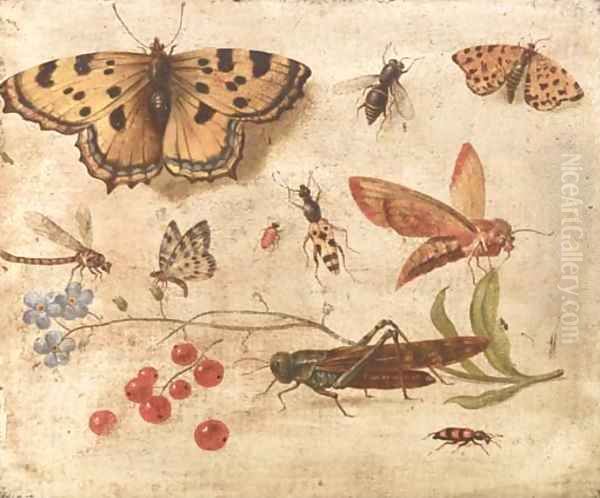 Butterflies, a moth, a cricket, a dragonfly, a beetle and berries - view 1