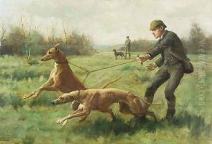 Exercising Greyhounds