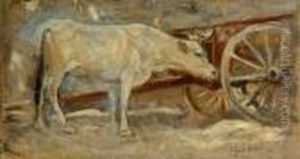 Bove Nella Stalla by Cesare Ciani