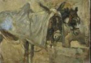 Ciuchini by Cesare Ciani