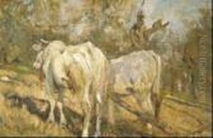 Campo Con Carro Di Buoi