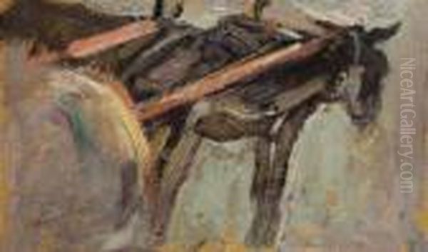 Somari Al Giogo - view 1