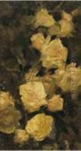 Rose - view 1