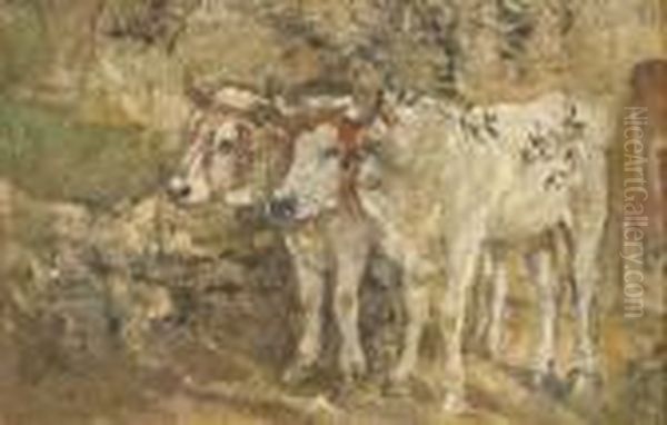 Carro Di Buoi - view 1