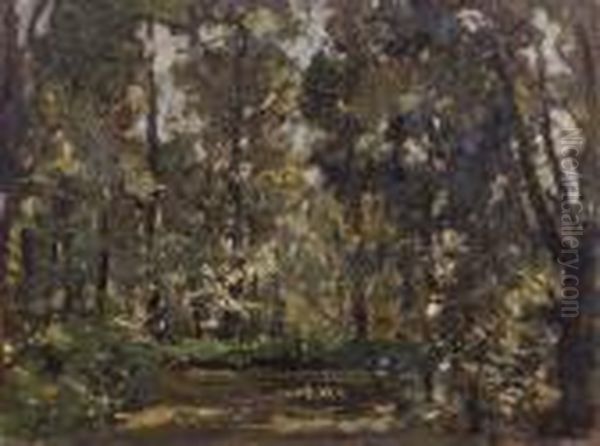 Scintille Del Sole - view 1