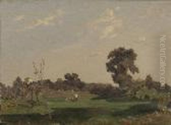 Sunlight And Shadow - view 1