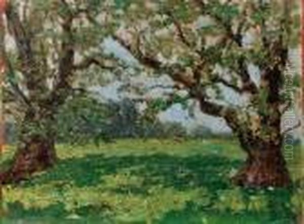 Primavera. - view 1