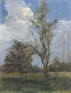 Campagna Con Alberi by Emma Ciardi