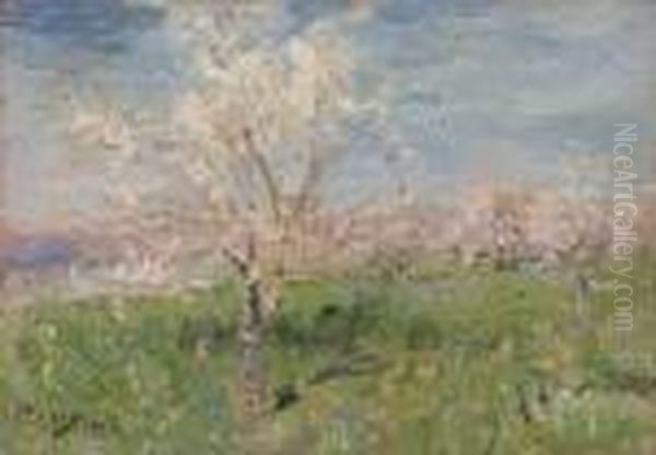 Meli In Fiore - view 1