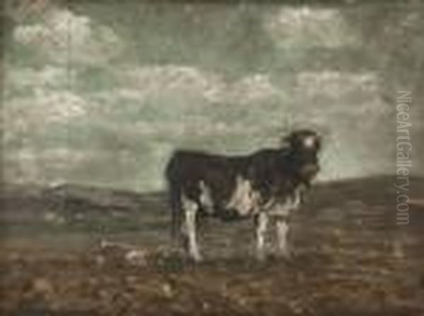 Pascolo - view 1