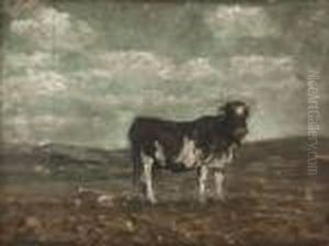 Pascolo by Beppe Ciardi