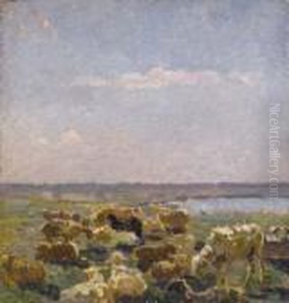 Pascolo - view 1