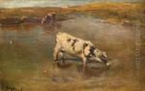 Vacas En La Laguna Vacas En La Laguna