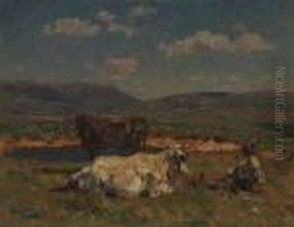 Pascolo - view 1