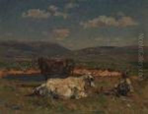 Pascolo by Beppe Ciardi
