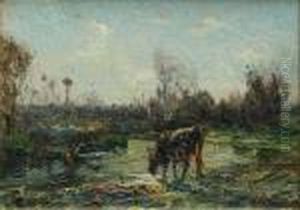 Pascolo by Beppe Ciardi