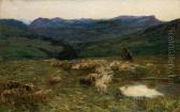 Verso Sera - view 1