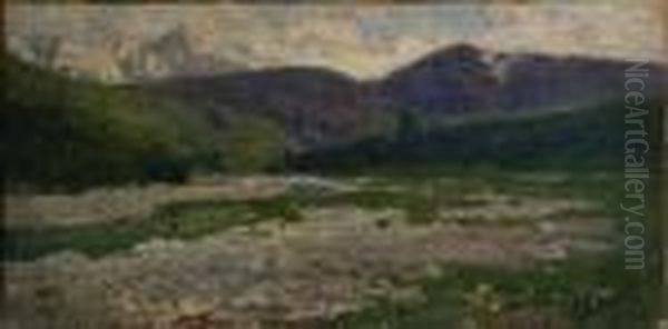Val Di Primiero - view 1