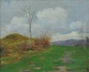 Paesaggio Campestre Paesaggio Campestre