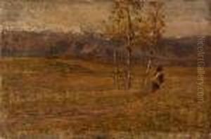Campagna Trevigiana