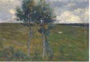 Campagna Con Due Alberi In Primo Piano Campagna Con Due Alberi In Primo Piano