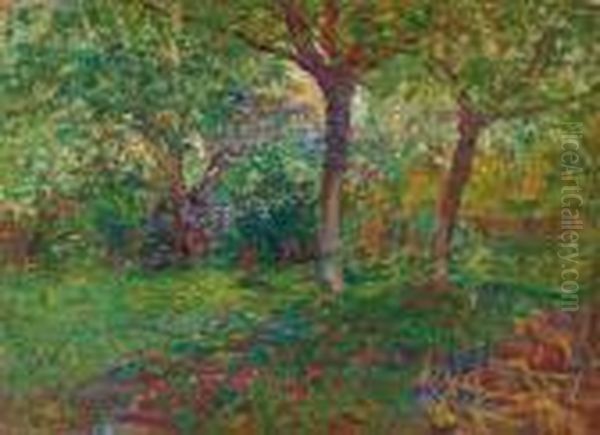 Radura Nel Bosco - view 1