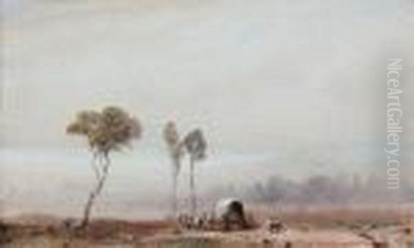 Paysage Anime - view 1