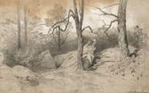 Sous-bois A Fontainebleau by Eugene Ciceri