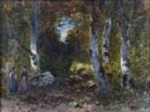 Chemin Dans Un Bois Touffu