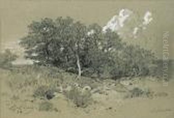 Paysage - view 1