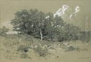 Paysage Paysage