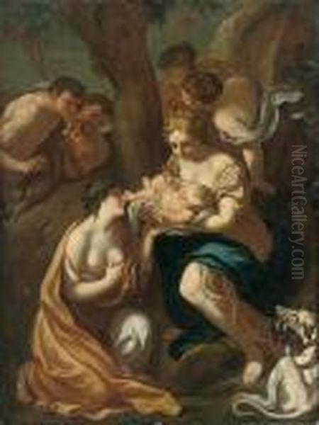 The Birth Of Adonis - view 1