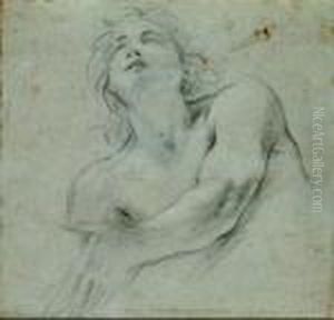 Studio Di Figura Studio Di Figura