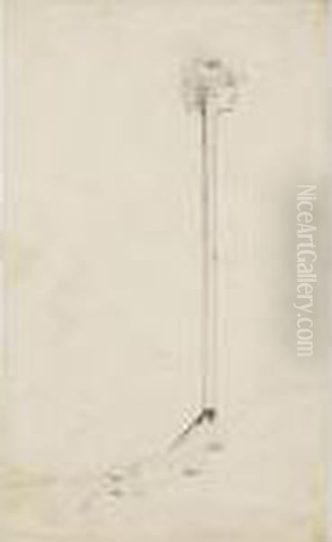 Caricature De Sarah Bernhardt En Canne Surmontee D'uneeponge - view 1