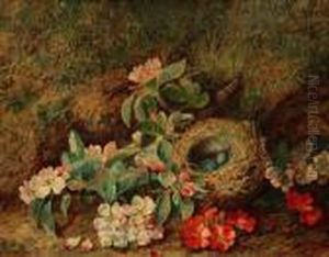 Flowers With Bird Nest