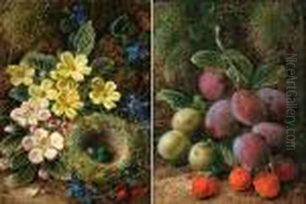 Still Life - view 1