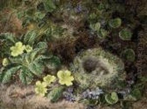 Primroses, Forget-me-nots And A Bird's Nest On A Mossy Bank by George Clare