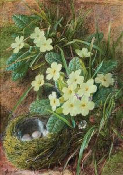 Still Life Of A Bird's Nest And Primroses - view 1