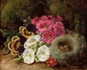 Primulas And A Bird's Nest On A Mossy Bank