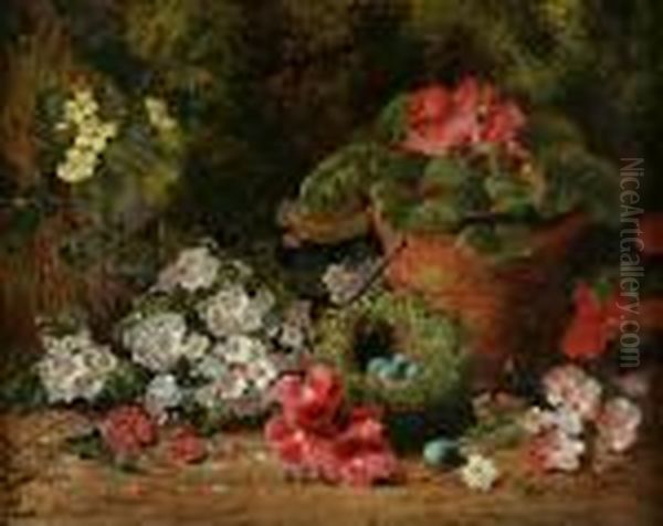 Primroses, Geraniums And A Bird's Nest On A Bank - view 1
