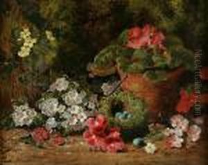 Primroses, Geraniums And A Bird's Nest On A Bank