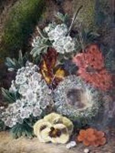 Primroses, A Birds Nest And 
Other Flowers On Amossy Bank; Plums, Grapes And Raspberries On A Mossy 
Bank by George Clare