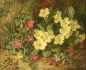 Still Life Of Primroses And Rosehips Still Life Of Primroses And Rosehips